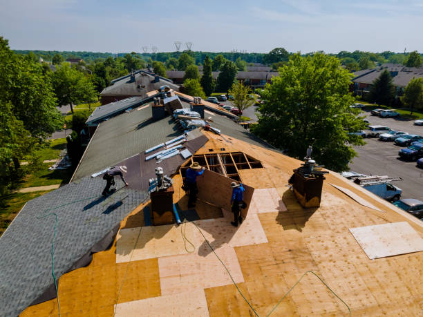 Trusted Storm Damage Roof Repair service in Glendale, CA - Brentwood Metal Roofing